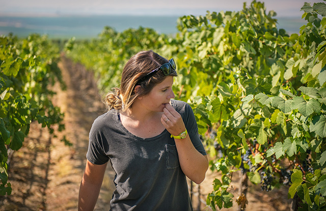 Megan Hughes in the vineyard